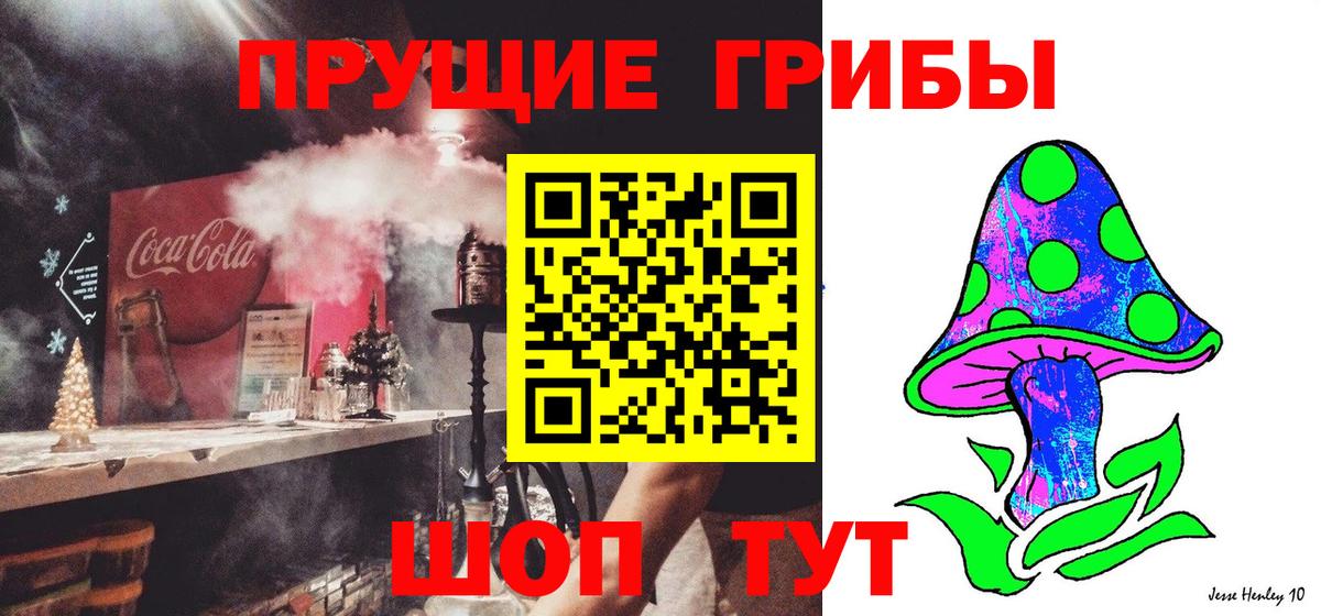 Галлюциногенные грибы Magic Shrooms Кулебаки